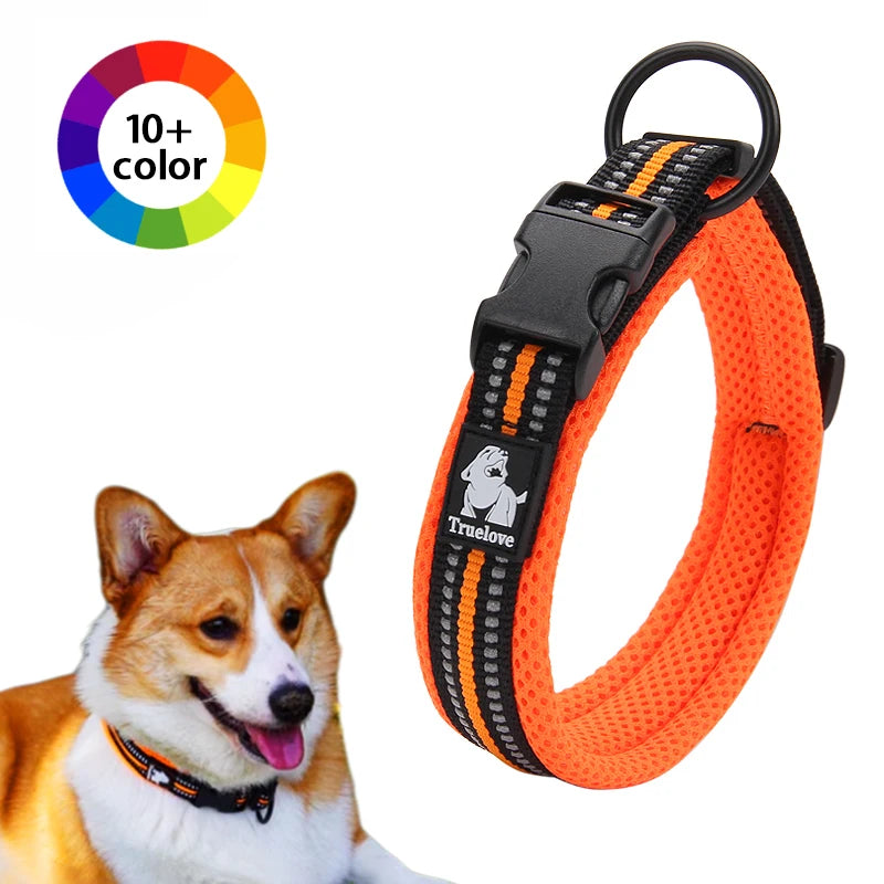 Dog Walking Collar Comfort Padded with Buckle Nylon Traveling Collar