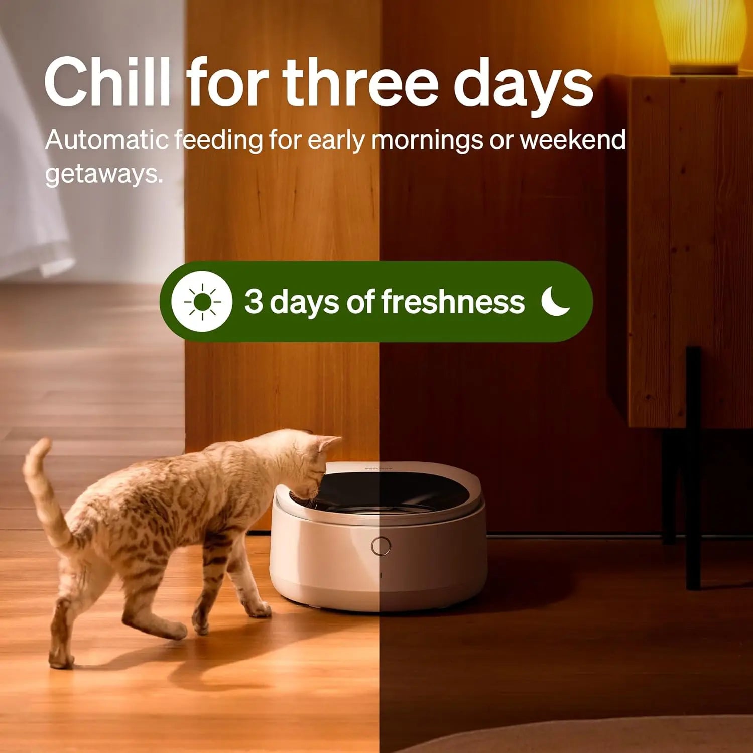 Automatic Cat Feeder for Wet Food with Stainless Steel Bowl, Refrigerated App-Controlled