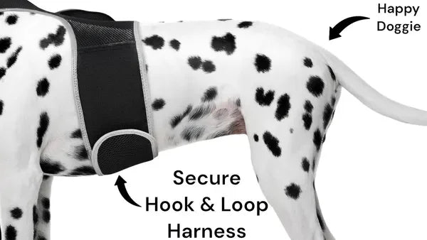 Get Realtime Pet Locations w/ Pet Mini Cat Dog GPS Tracking Collar