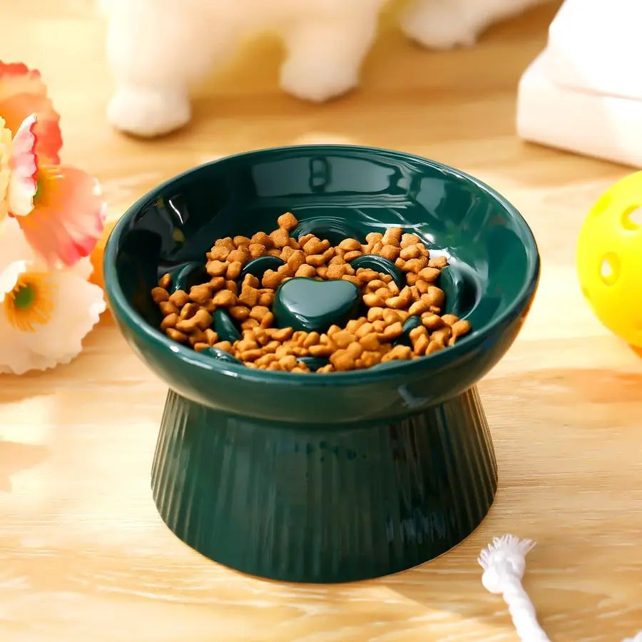 2 Pcs Raised Cat Slow Feeder Bowl Ceramic No Spill High Edge for Dry Wet Food and Water Easy to Clean