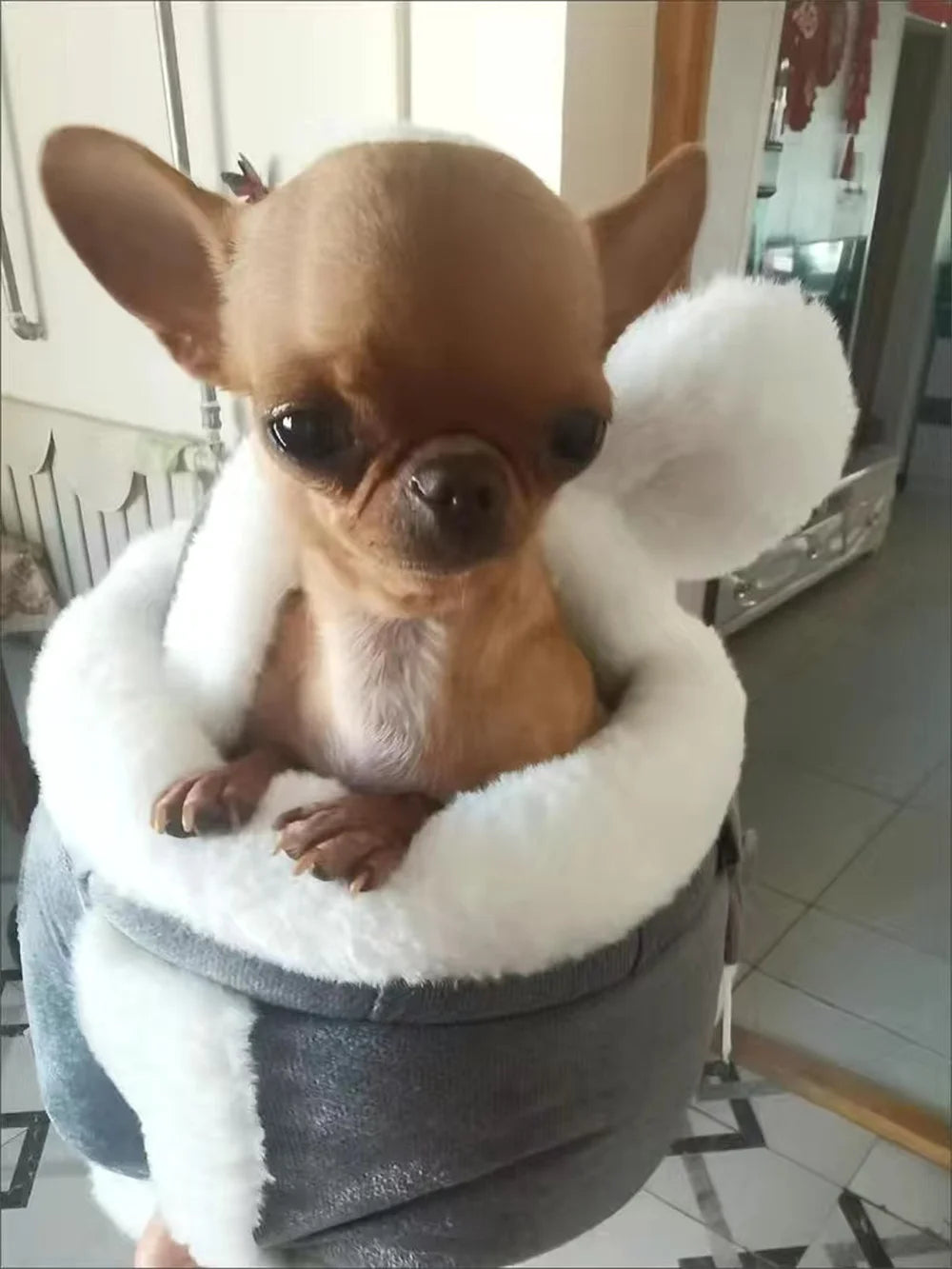 Outdoor Travel Puppy Dog Carrier Backpack Winter Warm