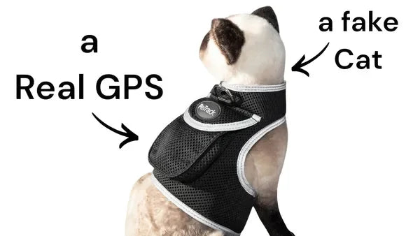 Get Realtime Pet Locations w/ Pet Mini Cat Dog GPS Tracking Collar