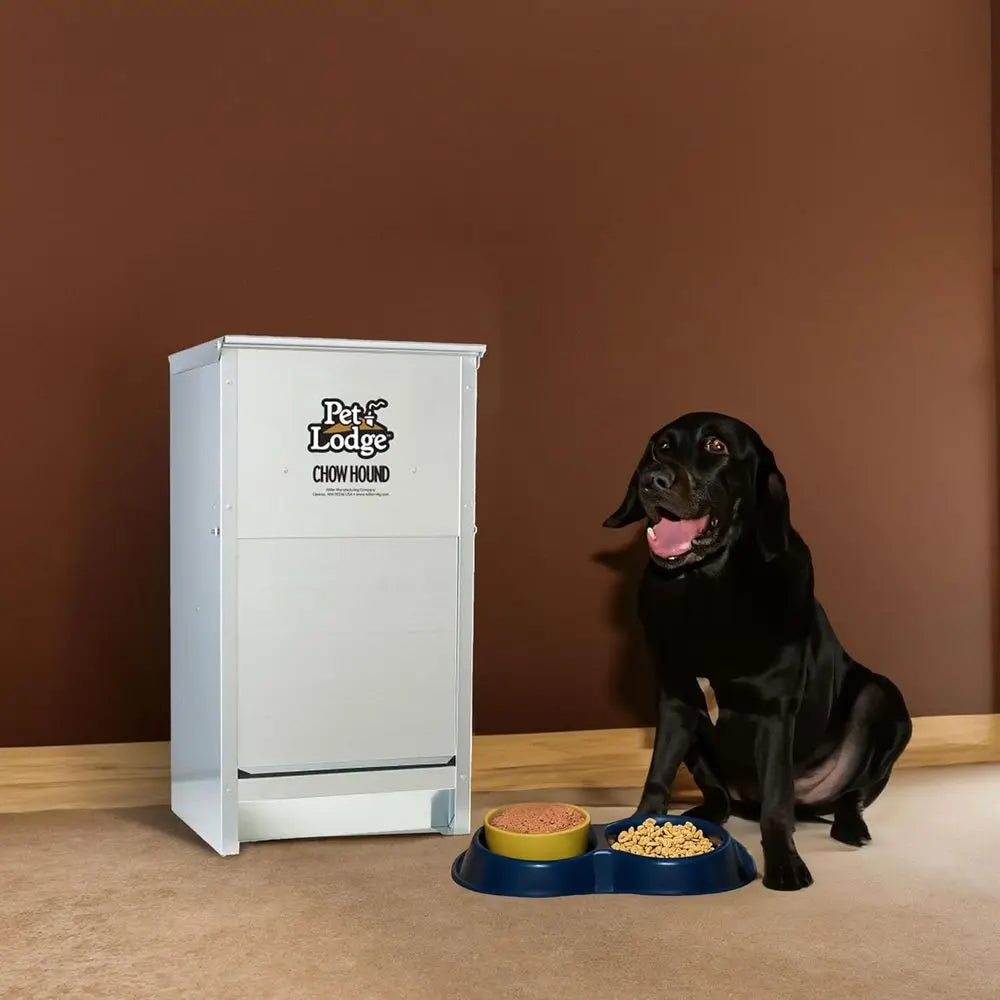 25 Pound Capacity Heavy Gauge Steel Indoor and Outdoor Dry Food Automatic Dog Feeder