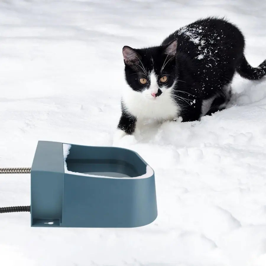 Automatic Water Dispenser for Dogs with Heater, Outdoor and Indoor, 2L Heated Water