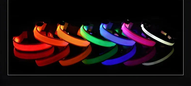 Dog Collar Nylon LED Night   Safety Flashing Glow-In-The-Dark Pet Dog Leash