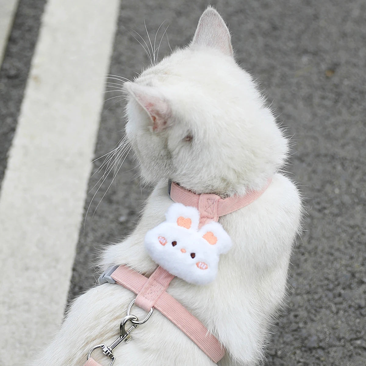 Cat Harness and Leash Sets, Adjustable Dog Harness for Small Dog, Leash Breathable Pet