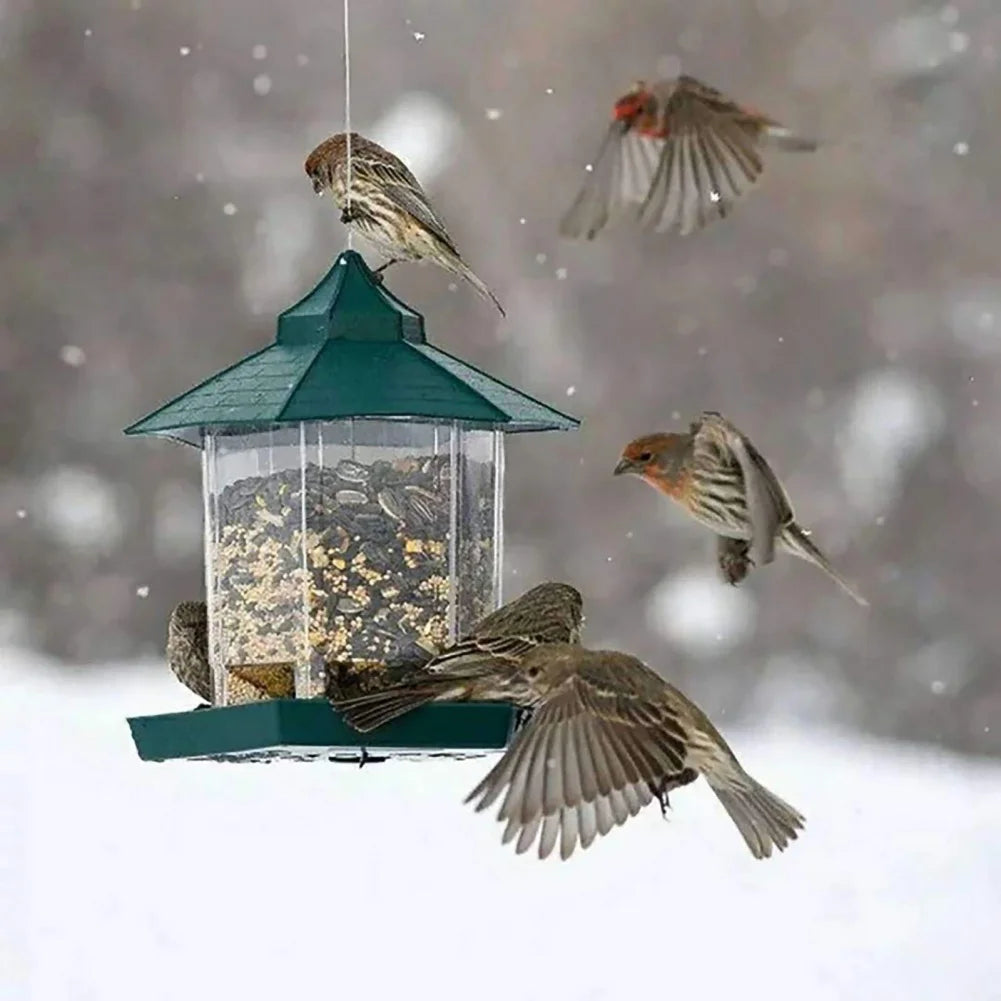 Wild Bird Feeders for Outside Rust Proof Hanging Feeders Squirrel Proof Attracts All Birds