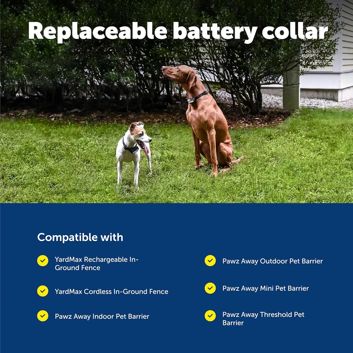 Waterproof Electric Dog Fence Collar, Adjustable for Dogs 5 lb & Up
