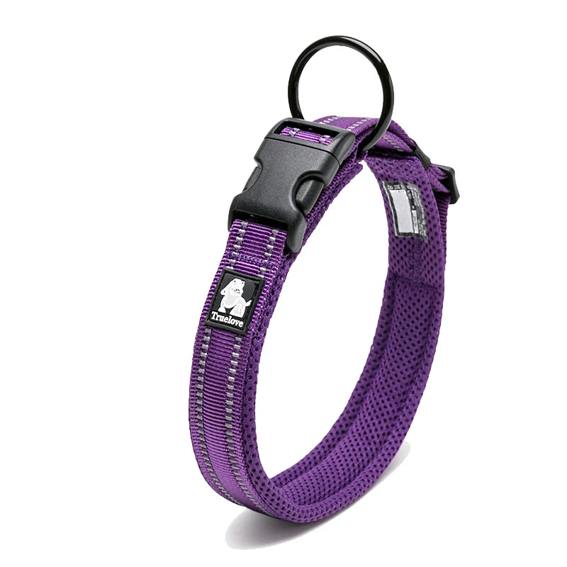 Dog Walking Collar Comfort Padded with Buckle Nylon Traveling Collar