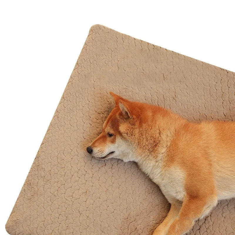 Dog Bed/Dog Mat, Egg Sponge Nest, Warm Plush, Removable and Washable Cover