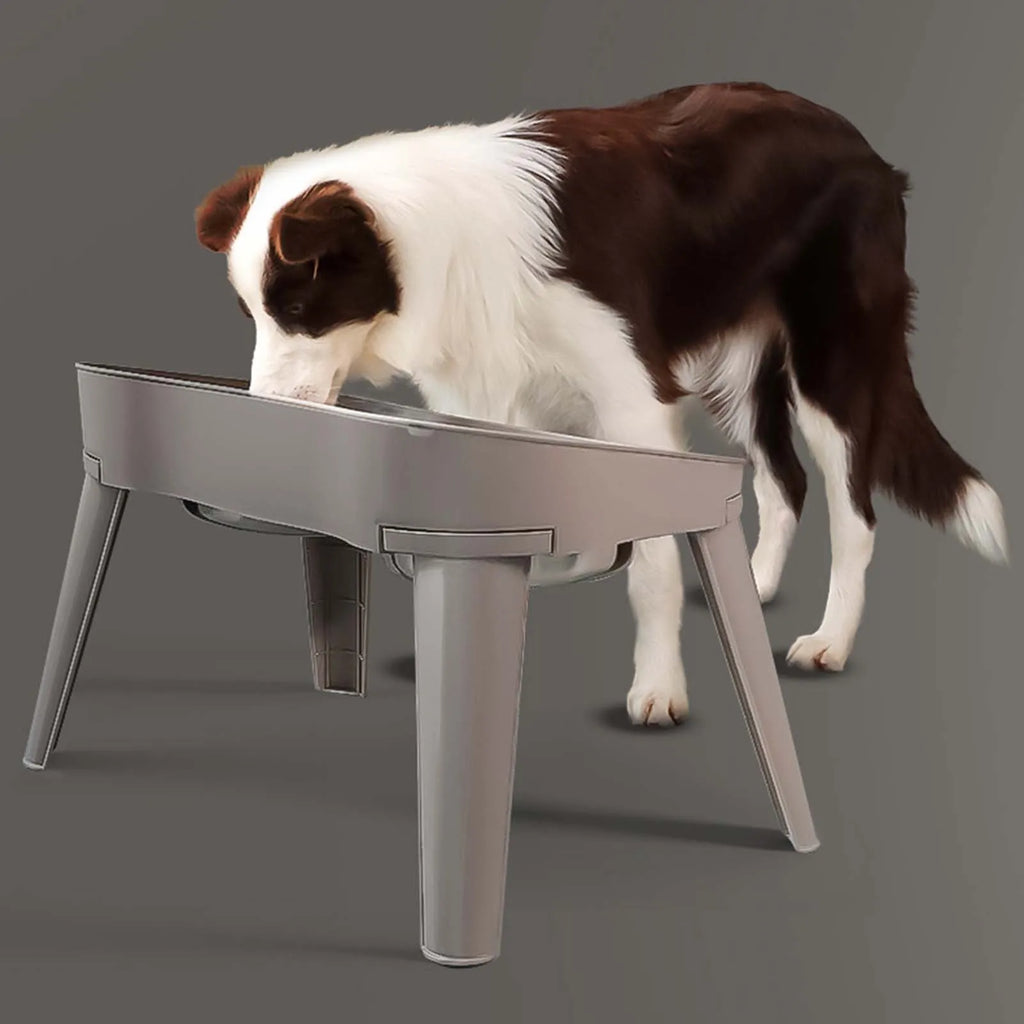 Raised Stand Elevated Dog Feeder Non-Slip and No Spill Design Suitable for Improved Posture and Comfort