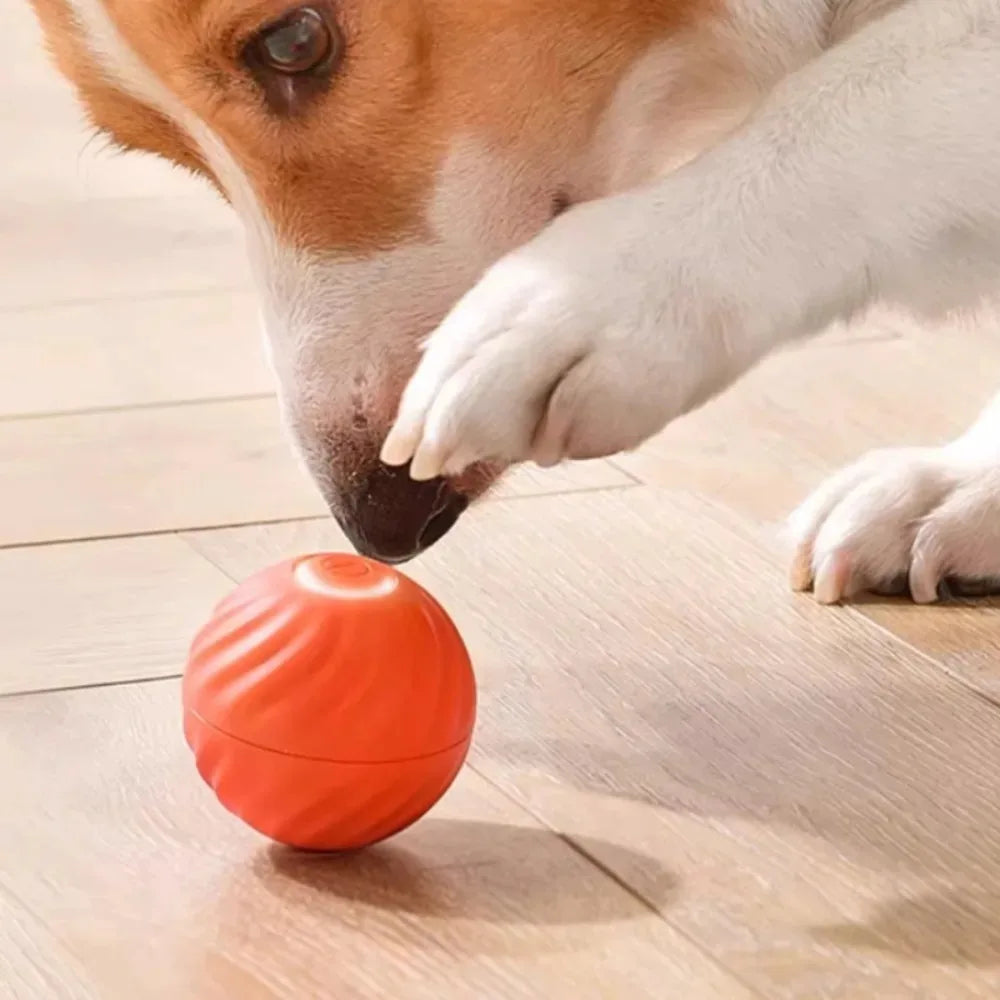 Interactive Pet Toy Ball, Smart Moving Dog Toy for Chewing, Jumping and Rotating Puppy Play