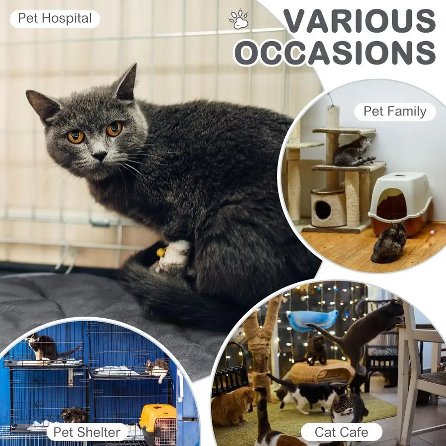 Pack Self Heating Cat Mat Self Warming Cat Bed Extra Warm  Reflects Body Heat Washable
