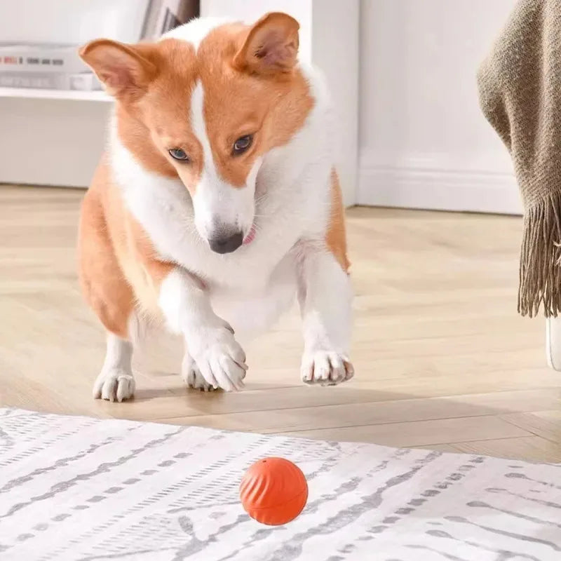 Interactive Pet Toy Ball, Smart Moving Dog Toy for Chewing, Jumping and Rotating Puppy Play