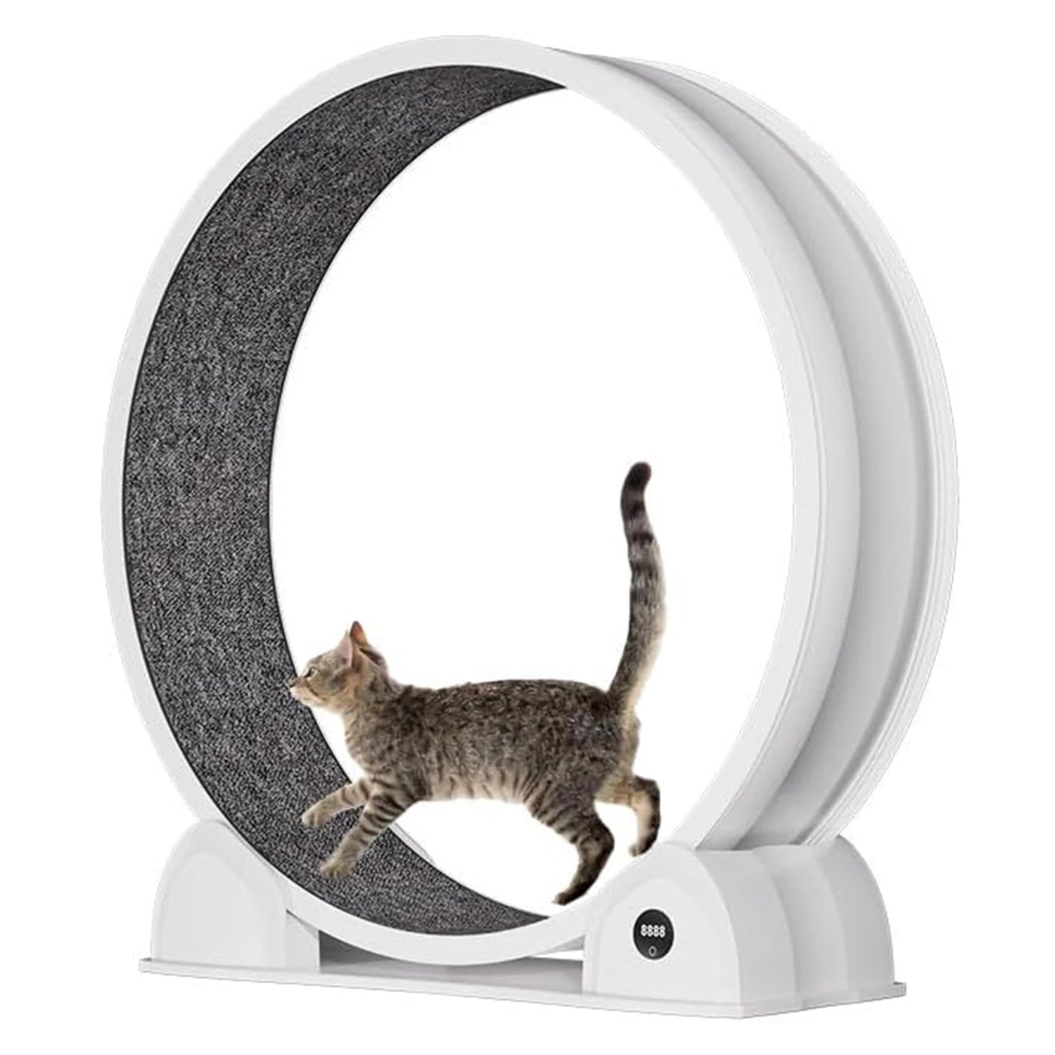 Cat Exercise Wheel for Indoor Cats, Quiet Cats Treadmill with Pedometer