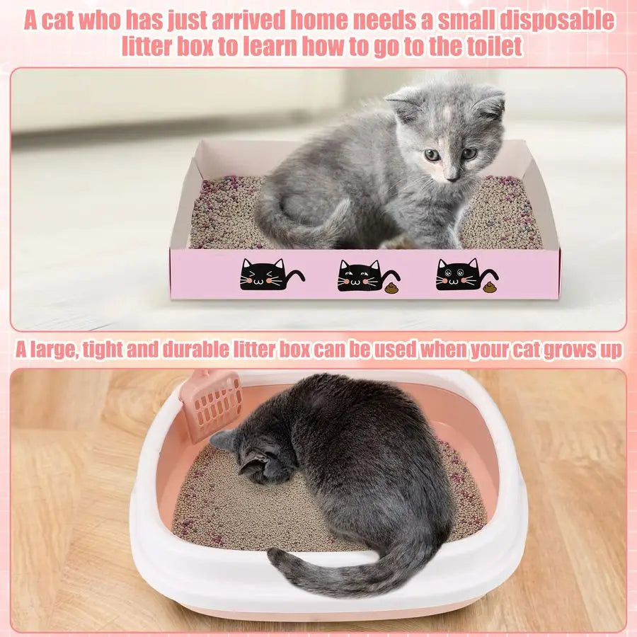 Kitten Starter Kit for Indoor Cats Include Cat Litter Box Toys, Hammock, Bed Scratch Pad, Climbing Post, Feed Bowls, Mat