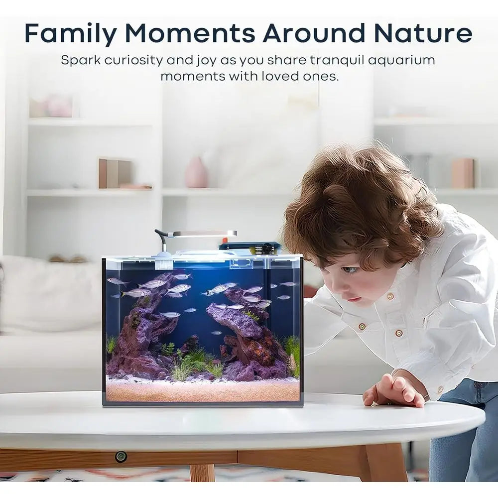 3 Gallon Small Aquarium Set Glass Fish Tank With Heater, Water Pump, Cleaning System, Filter Bright Light, Rocks