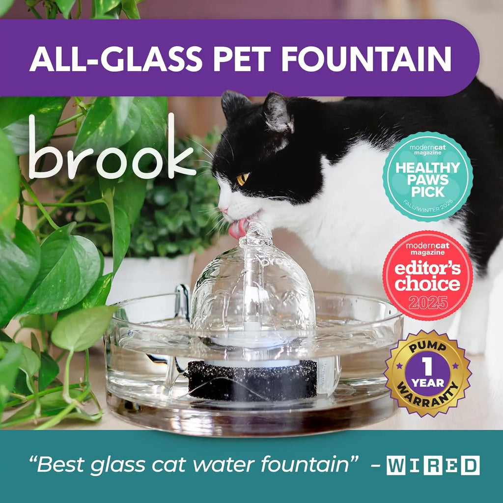 Glass Pet Fountain (90oz) – Cat & Dog Water Fountain – Glass Automatic Water Dispenser