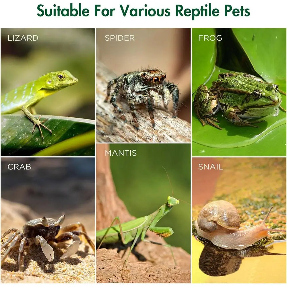 Acrylic Terrarium with Magnetic Door & All-Side Ventilation, Pre-Assembled Reptiles Habitat