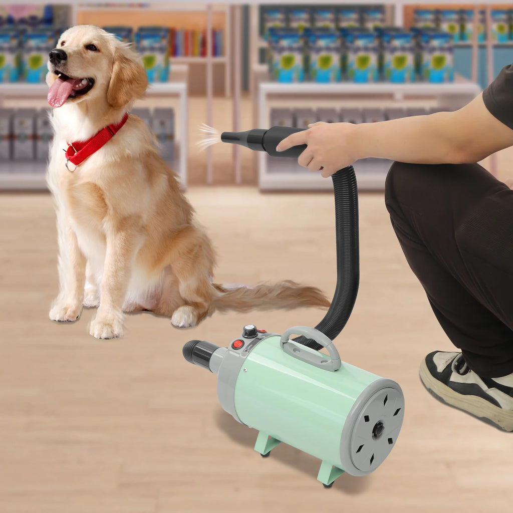 Pet Hair Dryer, Adjustable Design Wind Speed, Electric Dog Cat Hair Dryer, 4 Nozzles