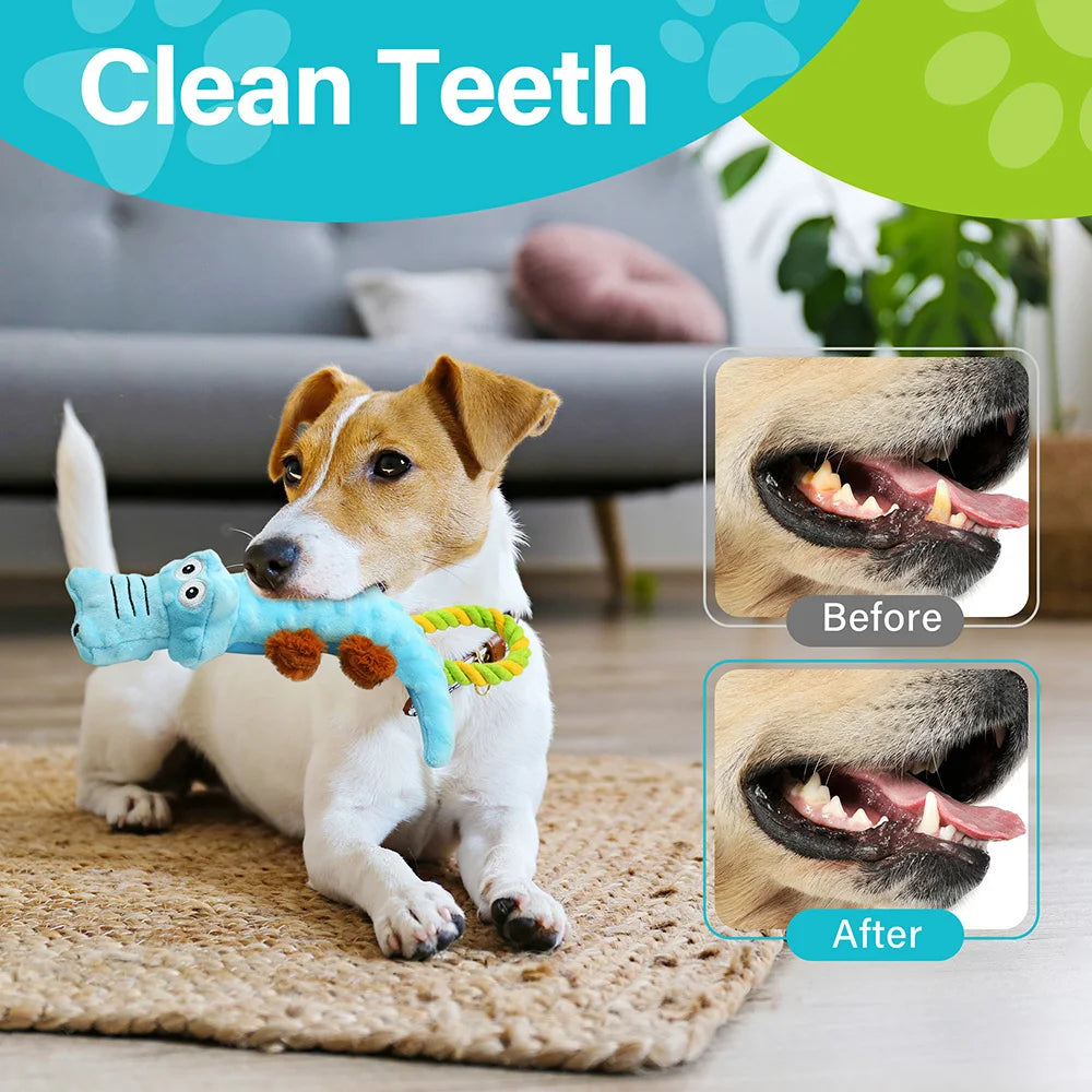 Pets Dog Squeaky Toy, 2 Pack, Tug of War Dog Toys