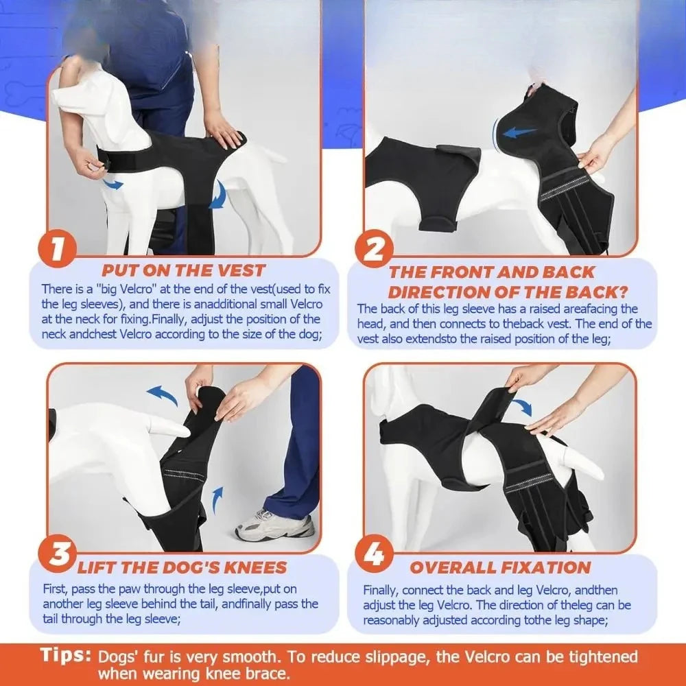 Adjustable Dog Knee Brace Durable Joint Support Leg Support Bracket Reflective Design Breathable Pet Knee Wound Protection
