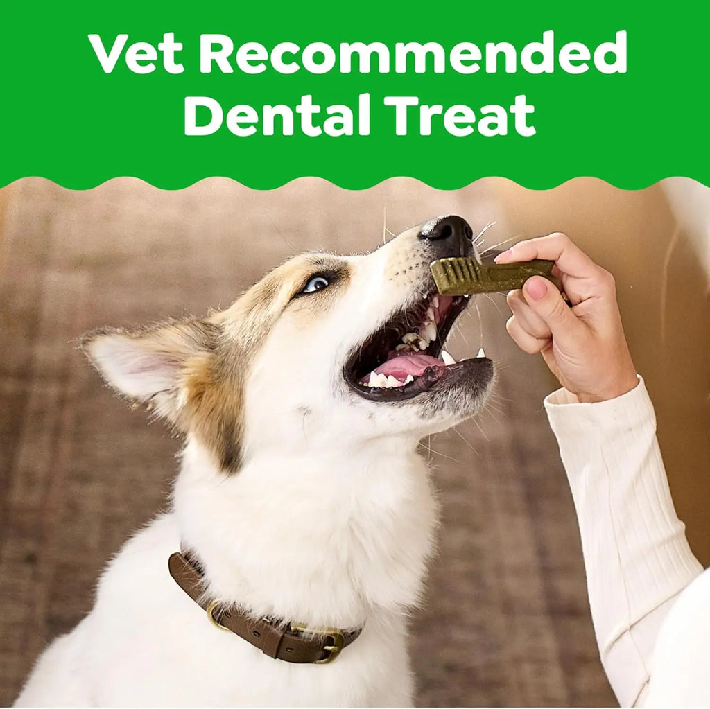 Veterinarian-Recommended Natural Dental Dog Treats Teenie Size