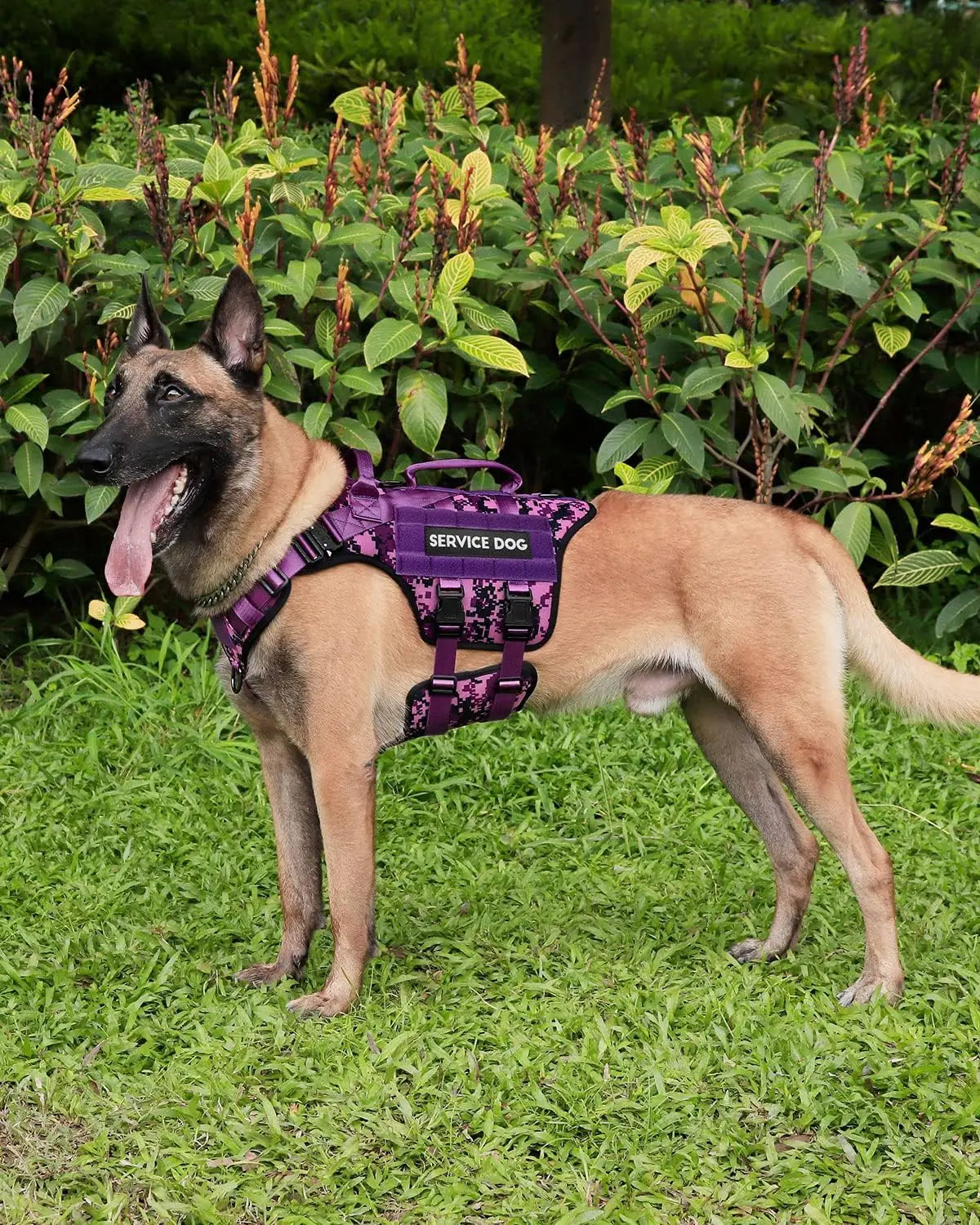Tactical Dog Harness for Large Breeds, Service Dog Vest with MOLLE Panels and Handle for Walking Hiking Training