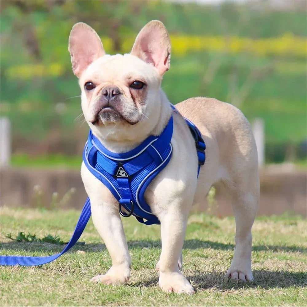 No Pull Dog Harness and Leash Set Adjustable Pet Harness Vest Reflective