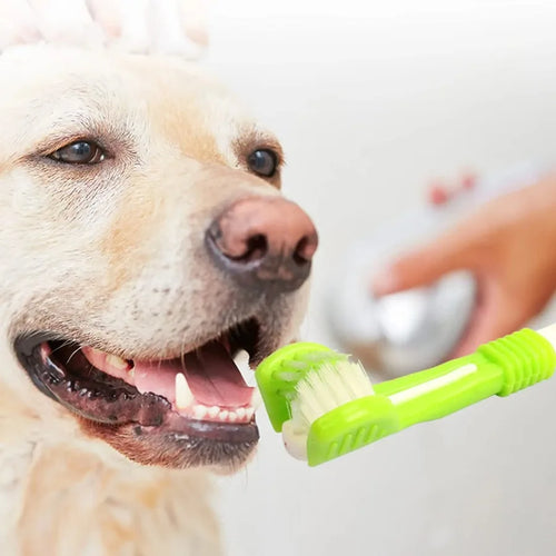 3-Sided Pet Toothbrush Dog/Cat Plastic Toothbrush