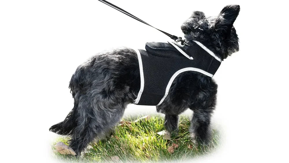 Get Realtime Pet Locations w/ Pet Mini Cat Dog GPS Tracking Collar