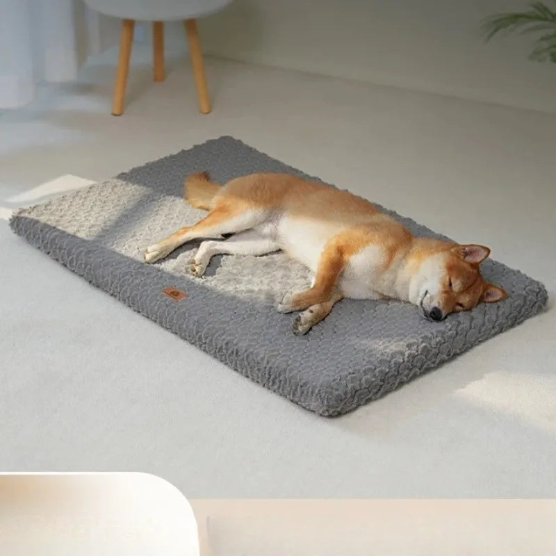 Dog Bed/Dog Mat, Egg Sponge Nest, Warm Plush, Removable and Washable Cover