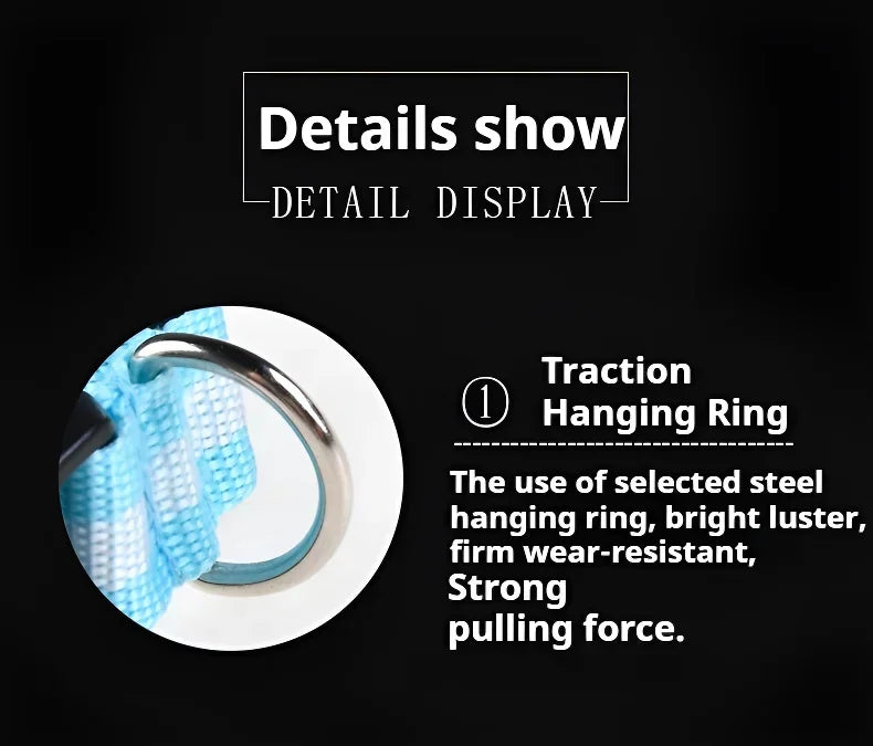 Dog Collar Nylon LED Night   Safety Flashing Glow-In-The-Dark Pet Dog Leash