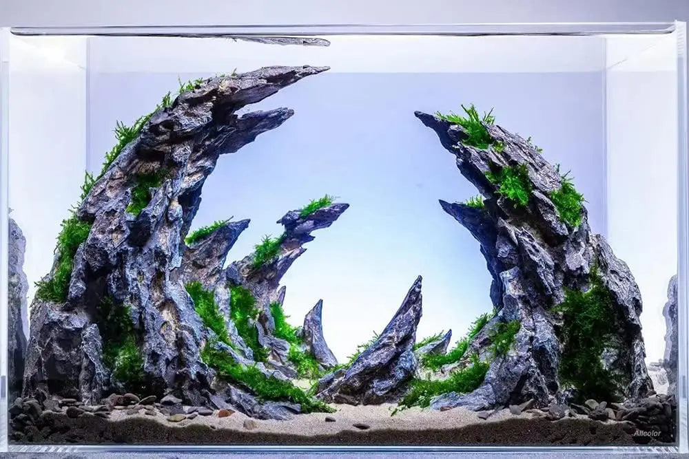 Ultra Clear Rimless Aquarium Tank 2-22 Gallons Low Iron Glass for Crystal View