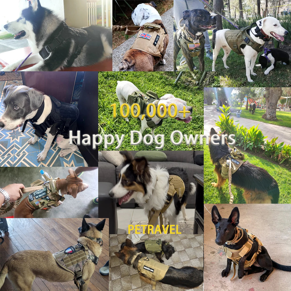 Tactical Dog Harness Collar With Pouches For Medium Large Dogs
