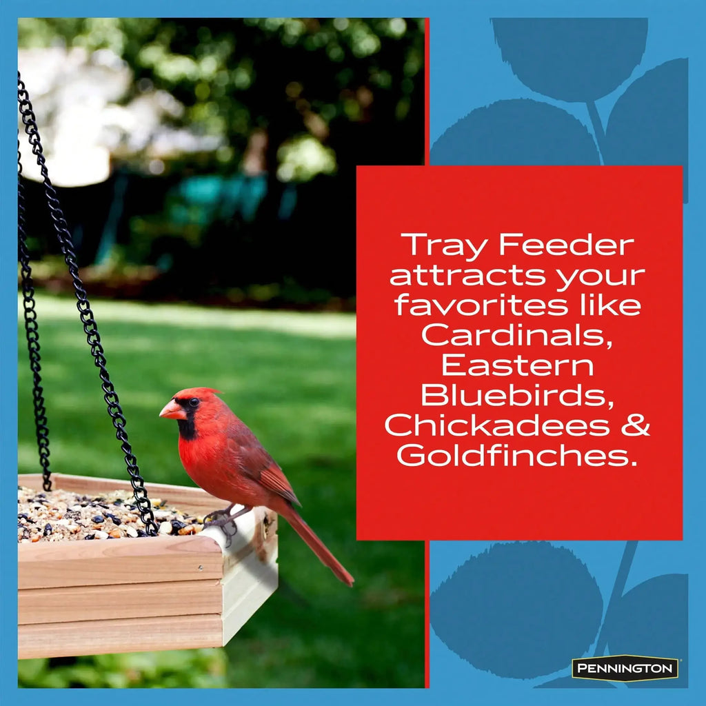 (3-Pack) 2-in-1 Bird Bath and Bird Feeder, 4 lbs,Keep seeds fresh,Durable