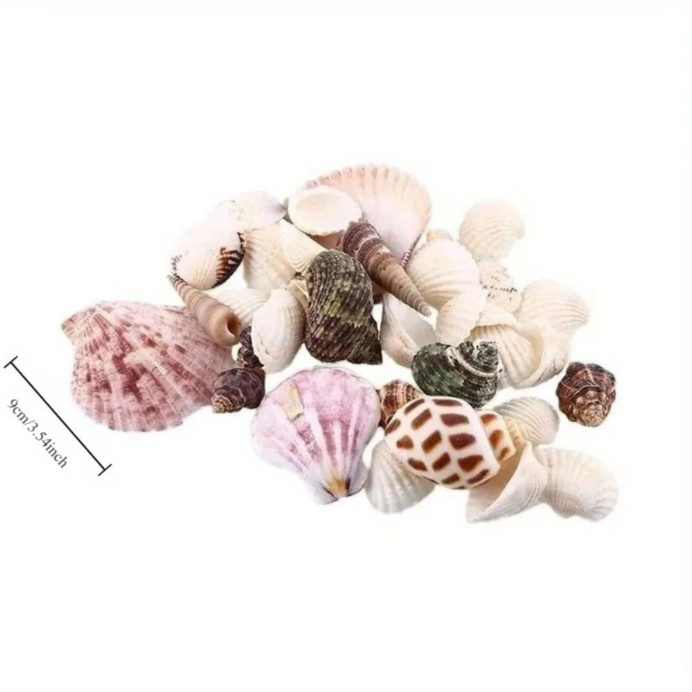 30pcs Mixed Aquarium Beach Nautical DIY Shells - Assorted Seashells in Glass Jars for Fish Tank Decor