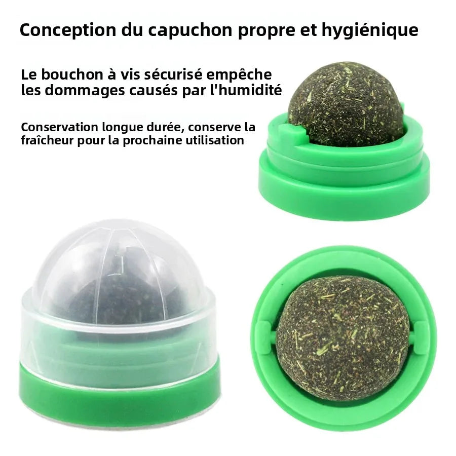 Spinning Catnip Mint Ball for Cats, Interactive Toy with Natural Catnip, Hairball Control