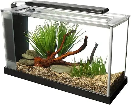 Fluval SPEC 5-Gallon Aquarium Kit with LED Light and 3-Stage Filter System