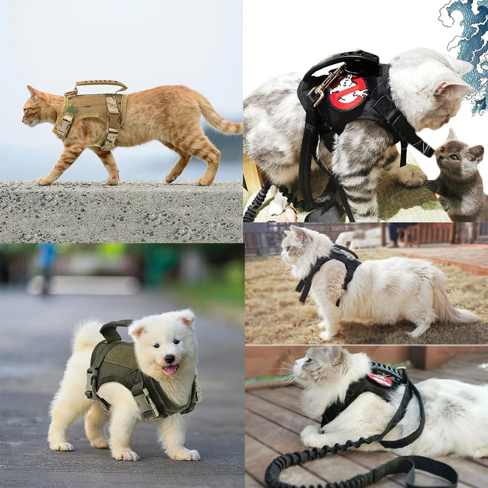Tactical Puppy Harness Leash For Small Dogs/Cats, Adjustable Kitten Vest, For Military Service Dog Working