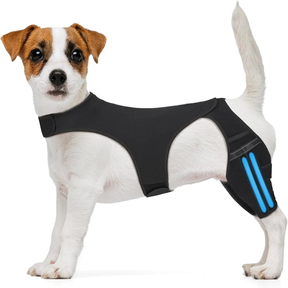 Adjustable Dog Knee Brace Durable Joint Support Leg Support Bracket Reflective Design Breathable Pet Knee Wound Protection