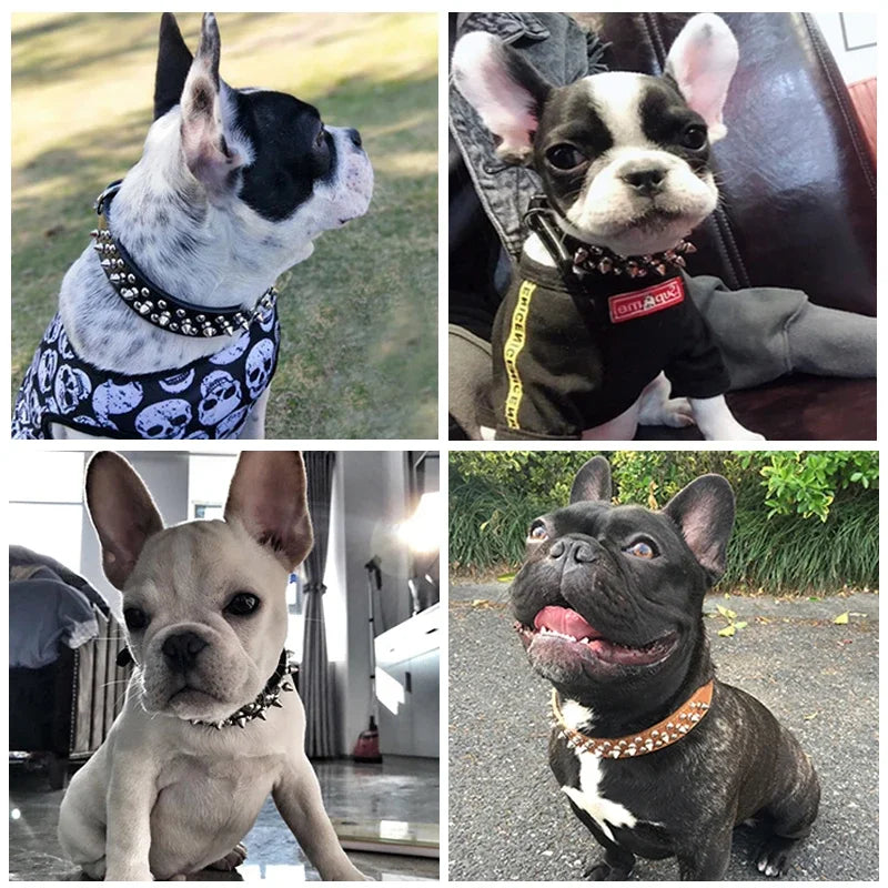 Adjustable Leather Pet Dog collar Neck Strap Spiked Dog Collar For Small Dog Cat