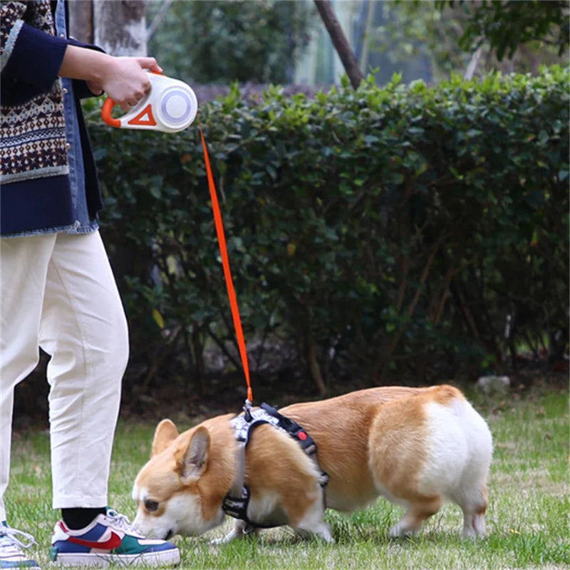 Automatic Retractable Dog Leash with Led Flashlight Durable Nylon Lead for Pet Dogs