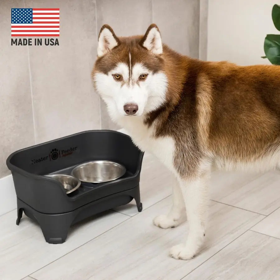 Express Mess Proof Dog Bowls Elevated for Medium to Large Sized Breed, Raised Dog Food Bowl Stand, Stainless Steel Bowls