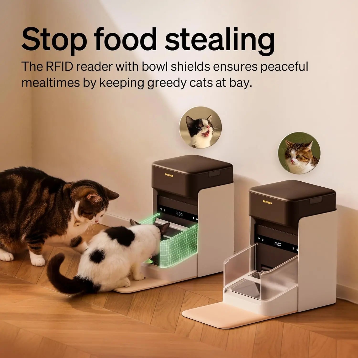 RFID Automatic Cat Feeder with Collar Tag, Wi-Fi Programmable for Multi-Pet Homes and Diet Tracking