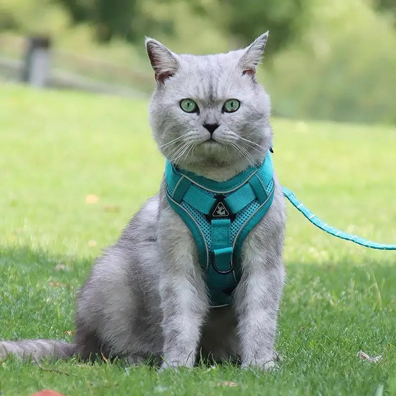 No Pull Dog Harness and Leash Set Adjustable Pet Harness Vest Reflective