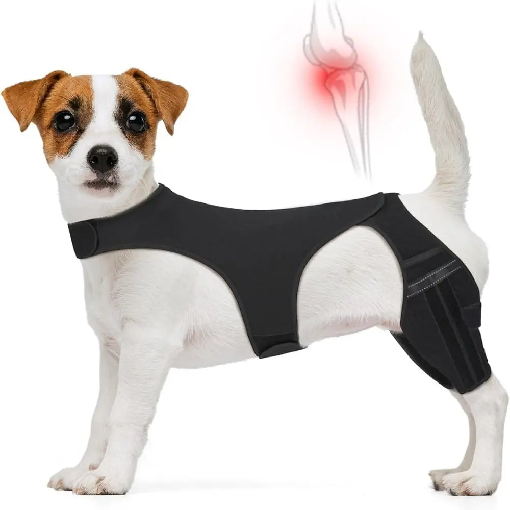 Adjustable Dog Knee Brace Durable Joint Support Leg Support Bracket Reflective Design Breathable Pet Knee Wound Protection