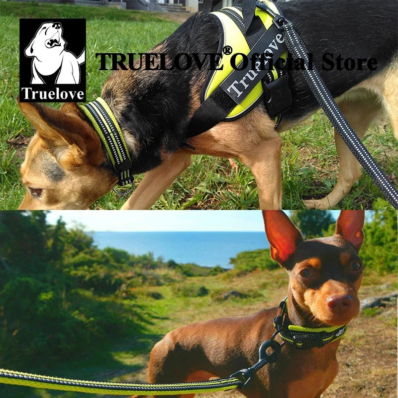 Pet Dog Collar, Nylon Adjustable, Webbing Padded, Soft Reflective