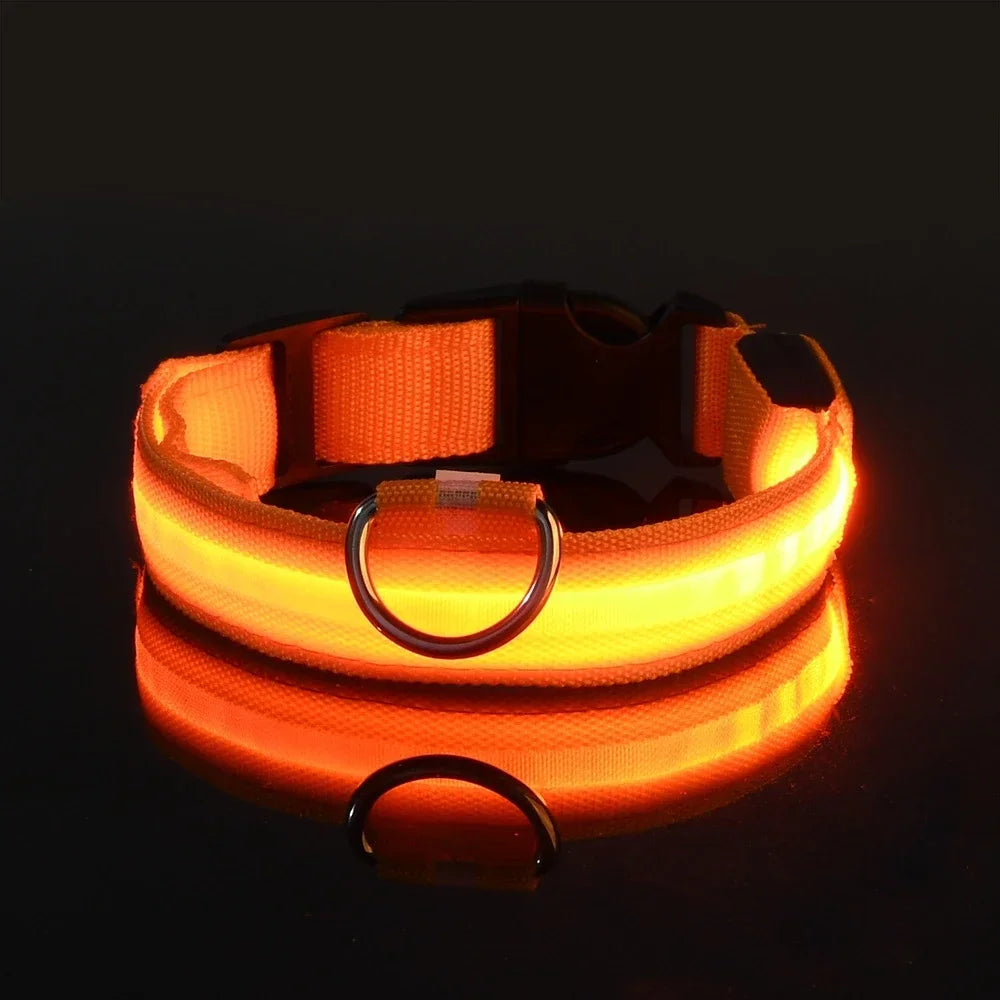 Dog Collar Nylon LED Night   Safety Flashing Glow-In-The-Dark Pet Dog Leash