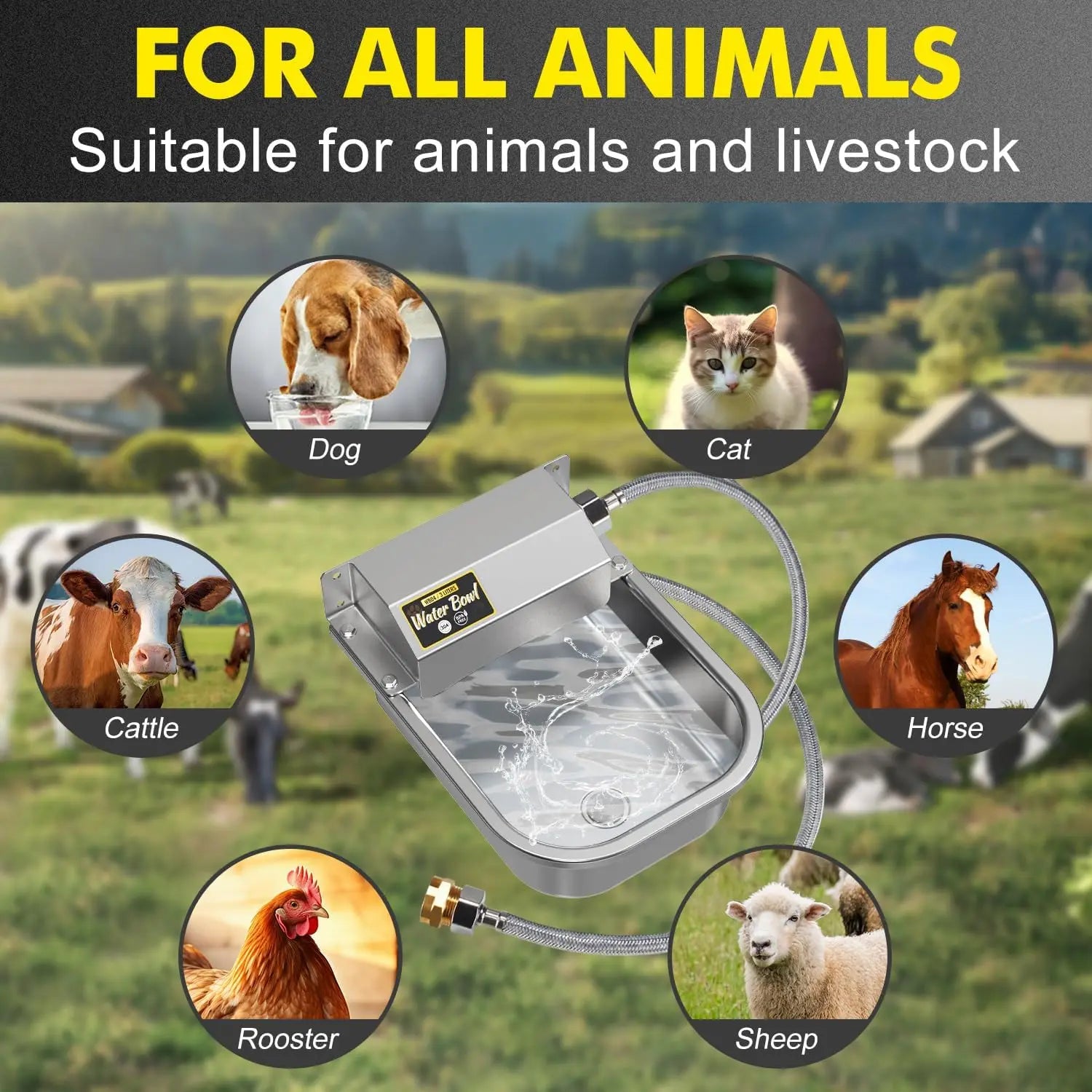 Automatic Water Dispenser for Dogs, Patented 3L Water Bowl, Stainless Steel Waterer